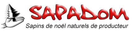 Sapadom vente en ligne de sapins de Noël