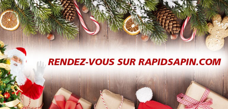 Rapidsapin, vente de sapin sur internet depuis 2006